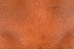 Photo Textures of Human Skin